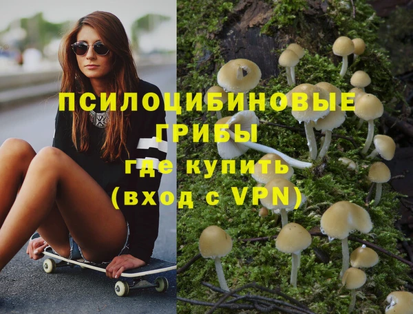 мяу мяу мука Алексин