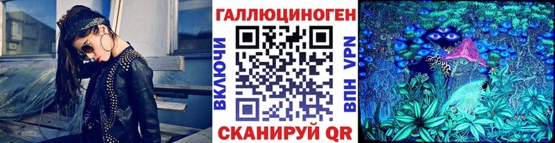 KRAKEN ТОР  Анапа  Галлюциногенные грибы Psilocybine cubensis 
